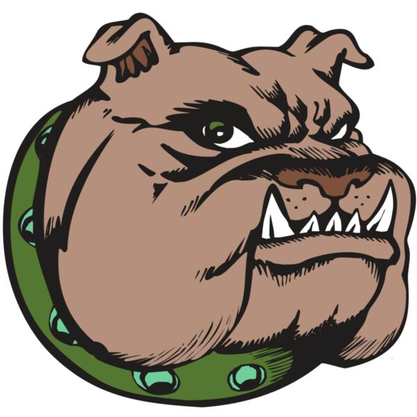 BAW BULLDOG 14 RC Thumbnail